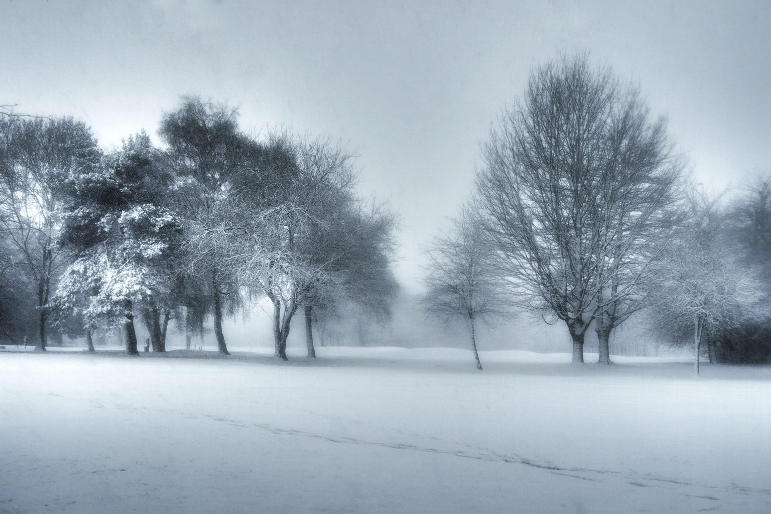 Landscape photograph of trees during a blizzard ©PhilStreet Graphic Design Designer Nottingham UK